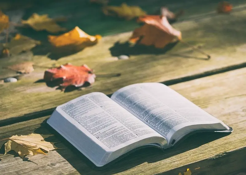 Pila de libros abiertos sobre una manta, ambiente acogedor de lectura, referencia al club de lectura de una creadora de contenido en Instagram Peru