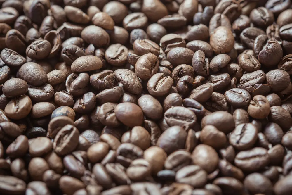 Granos de café recién tostados en primer plano, referencia al oficio de tueste de café de especialidad