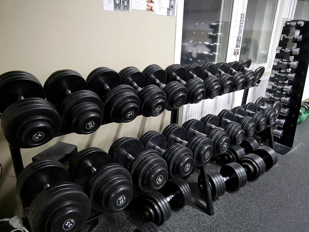 Mancuernas ordenadas en un rack de gimnasio, referencia al contenido de gym y estilo de vida en Instagram Perú